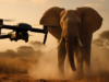 Drone Safari Attack Video Goes Viral Drone Safari Attack Video Goes Viral